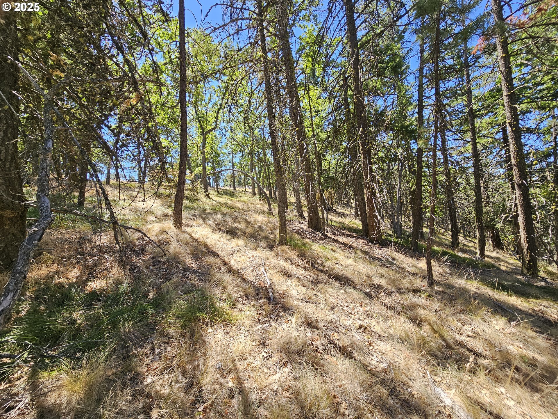 Ramsey Road, Unit 137 Dufur, OR 97021 - Photo 21 of 28 a view of covered with trees