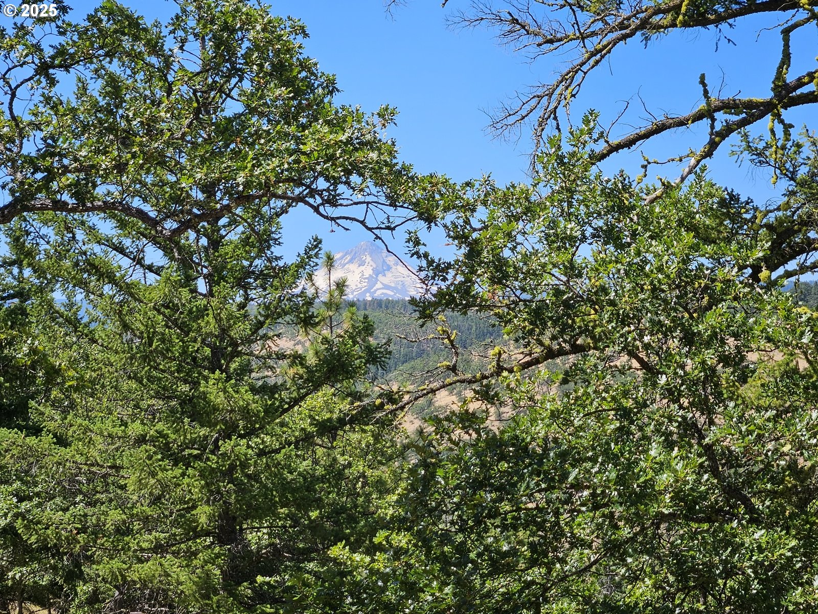Ramsey Road, Unit 137 Dufur, OR 97021 - Photo 25 of 28 a view of a tree in a garden