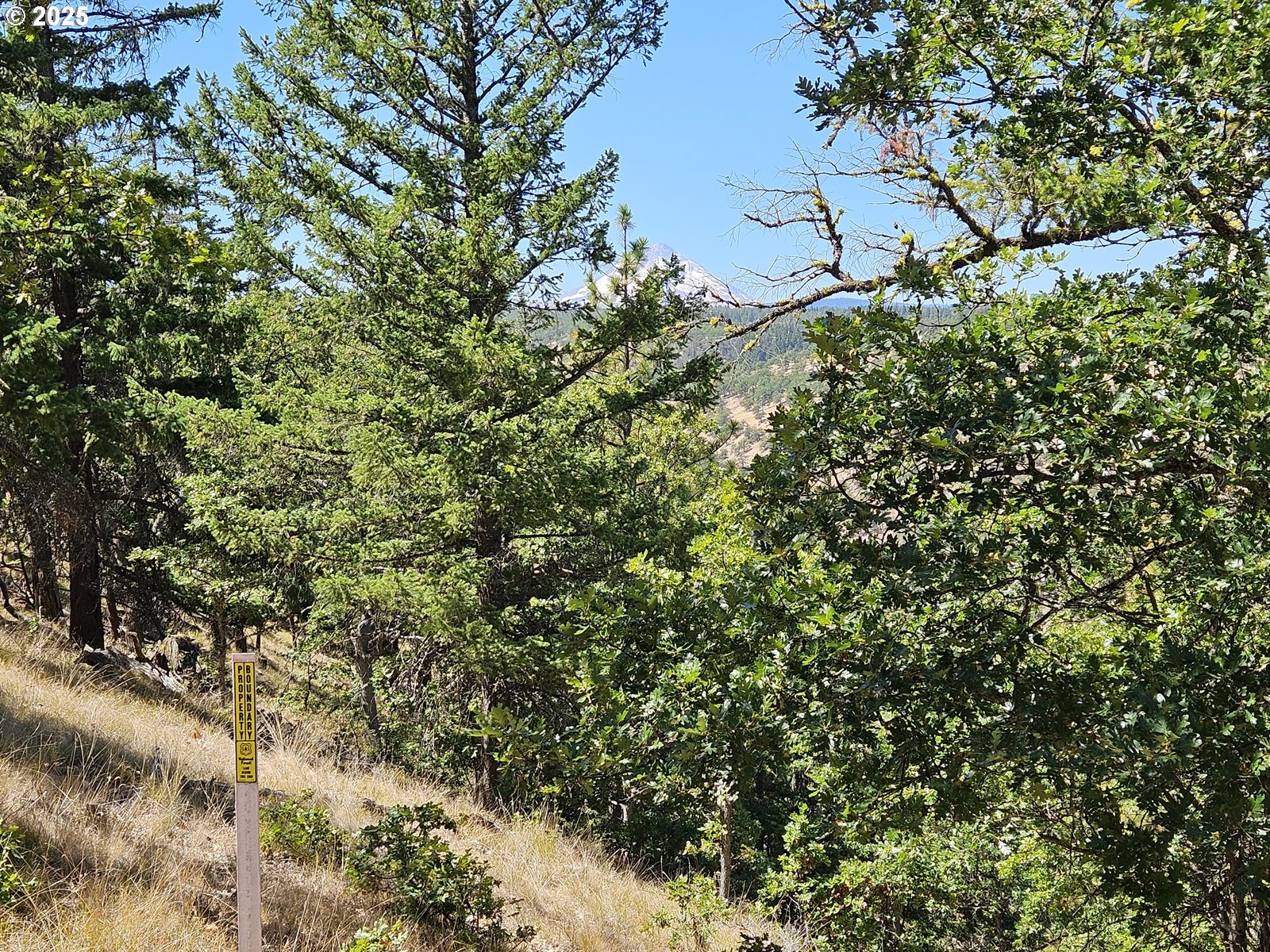 Ramsey Road, Unit 137 Dufur, OR 97021 - Photo 26 of 28 a view of a tree