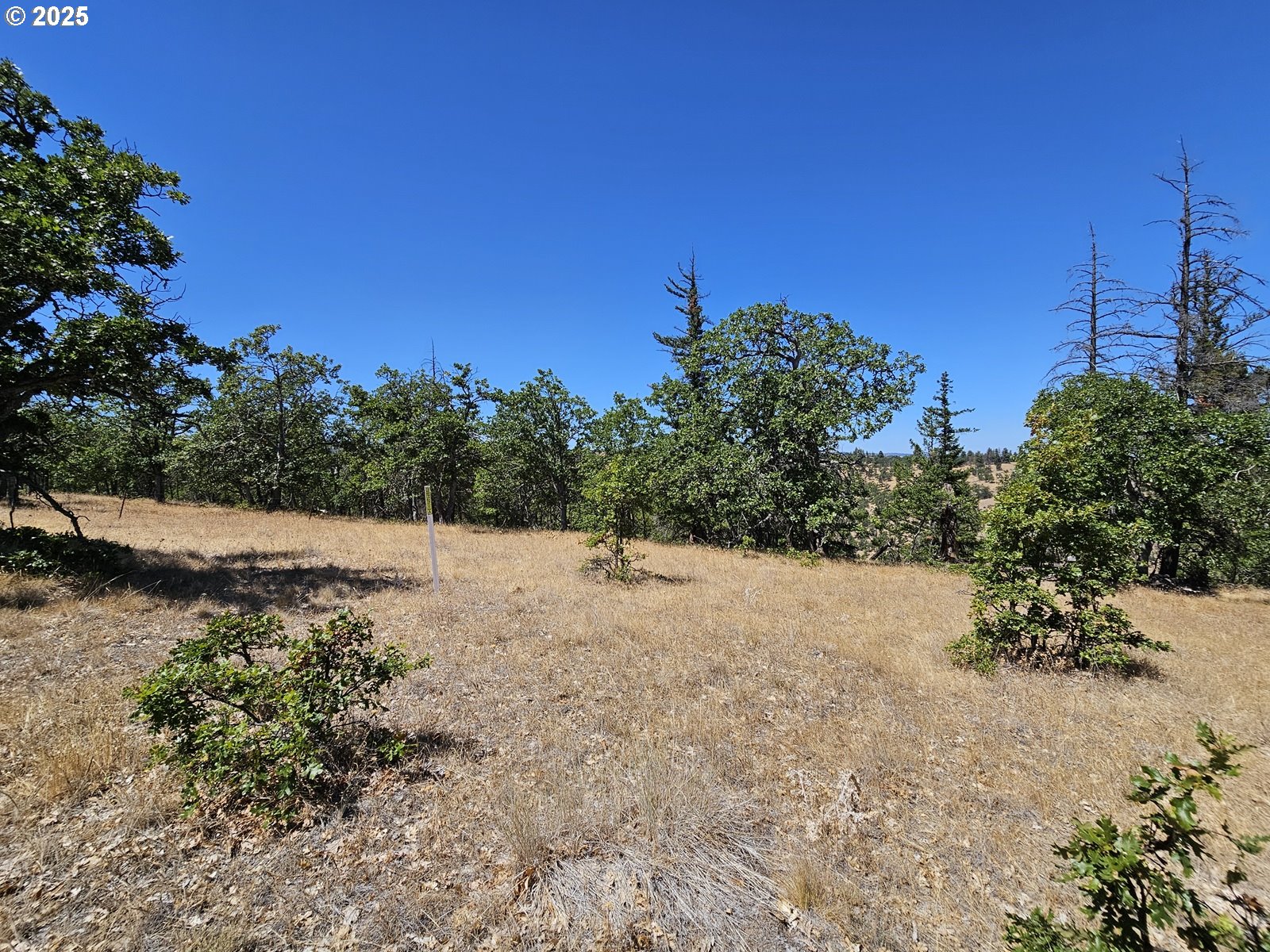 Ramsey Road, Unit 137 Dufur, OR 97021 - Photo 27 of 28 a view of a yard with a tree