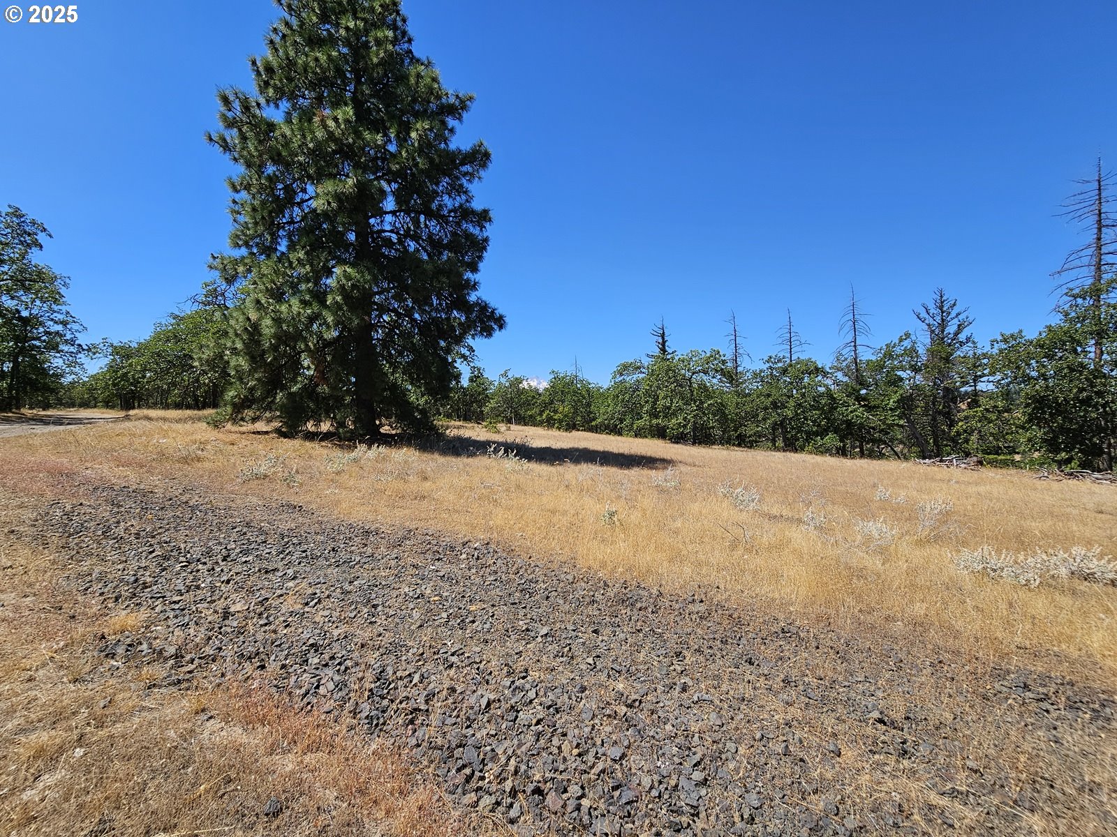 Ramsey Road, Unit 137 Dufur, OR 97021 - Photo 3 of 28 a view of lake view and mountain view