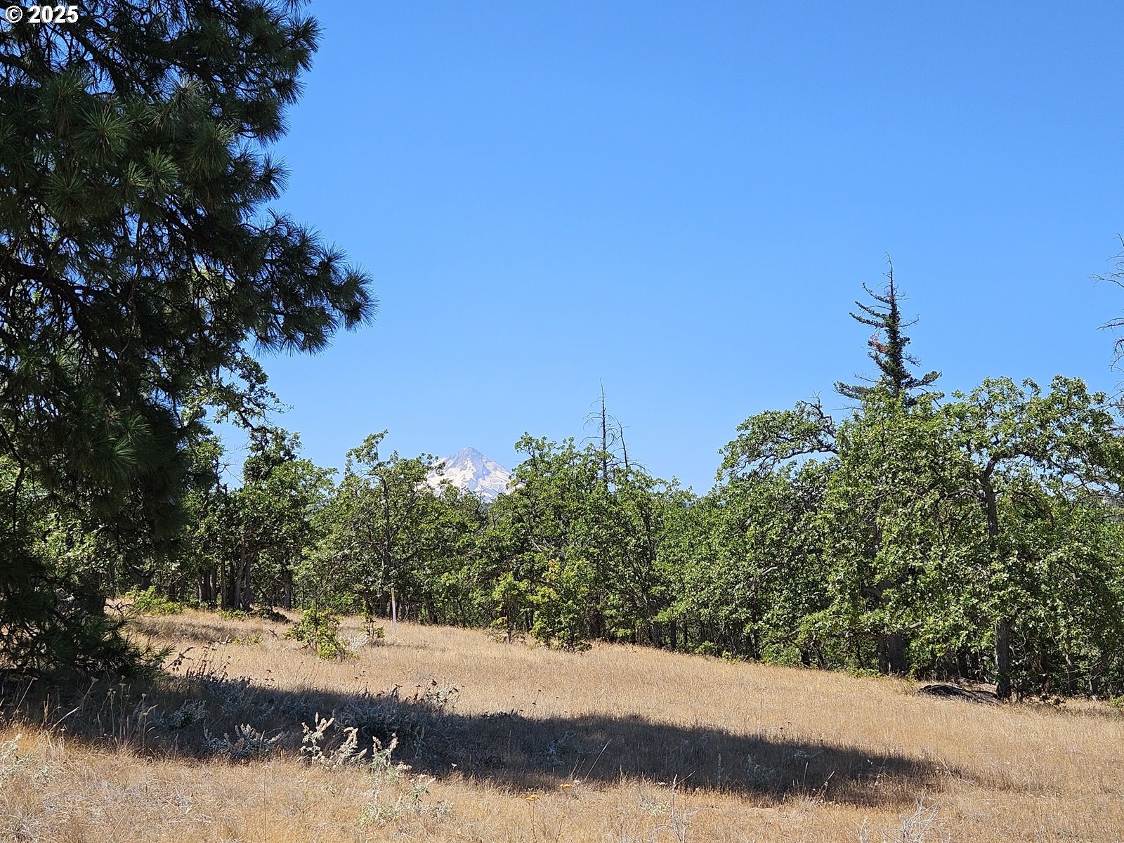 Ramsey Road, Unit 137 Dufur, OR 97021 - Photo 4 of 28 a view of a yard with a tree