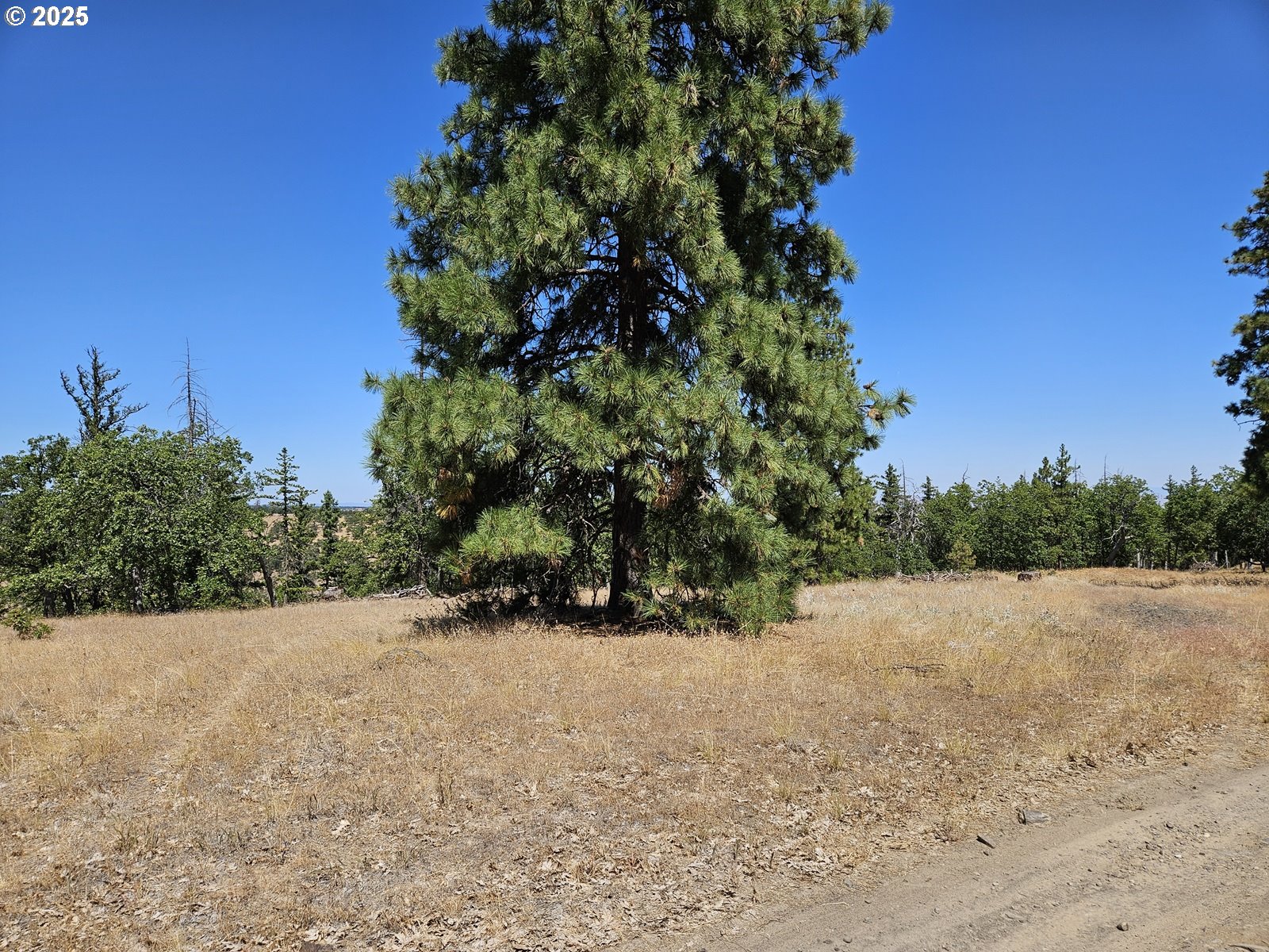 Ramsey Road, Unit 137 Dufur, OR 97021 - Photo 5 of 28 a view of a plants with trees in the background