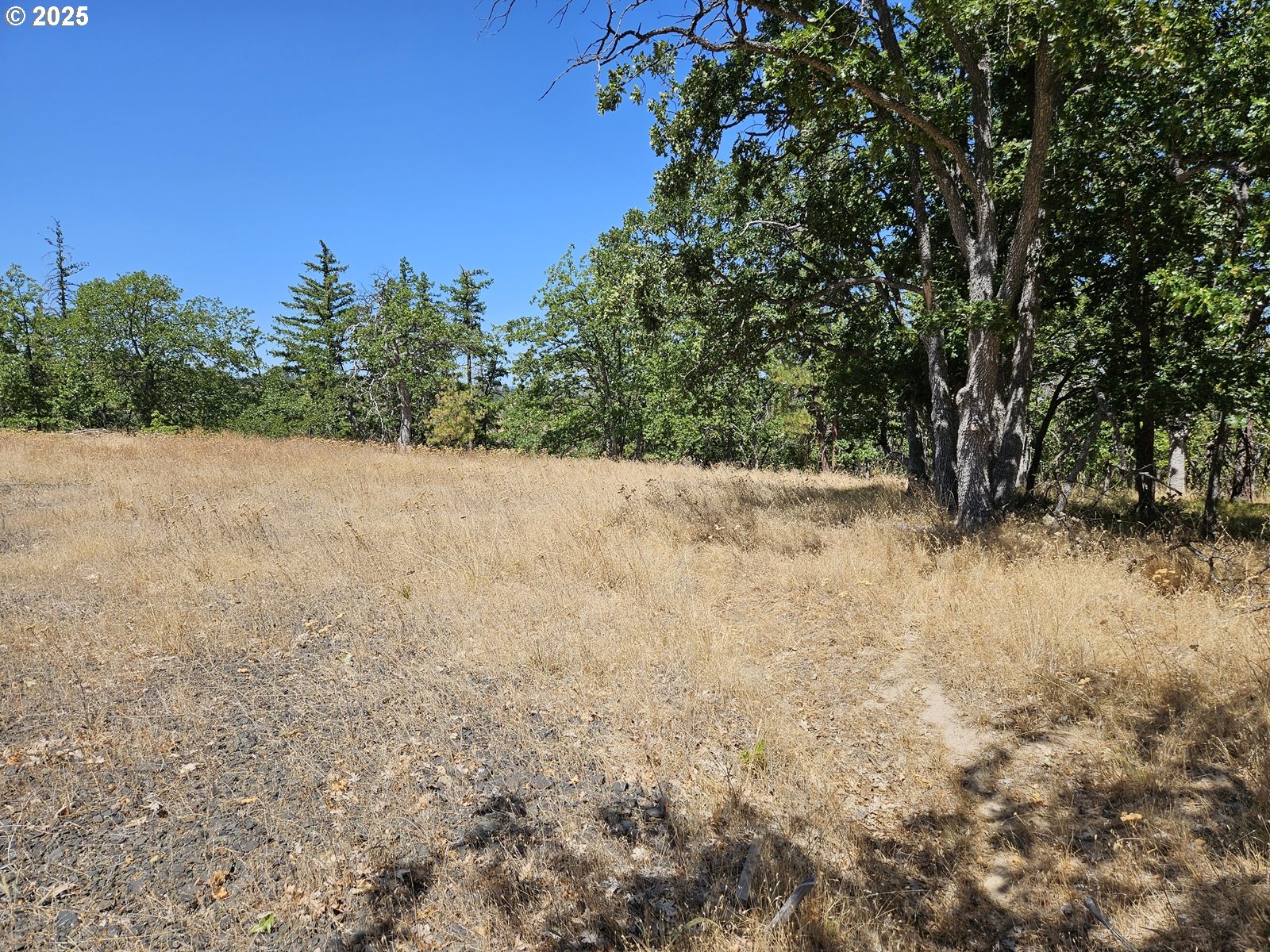 Ramsey Road, Unit 137 Dufur, OR 97021 - Photo 7 of 28 a view of yard