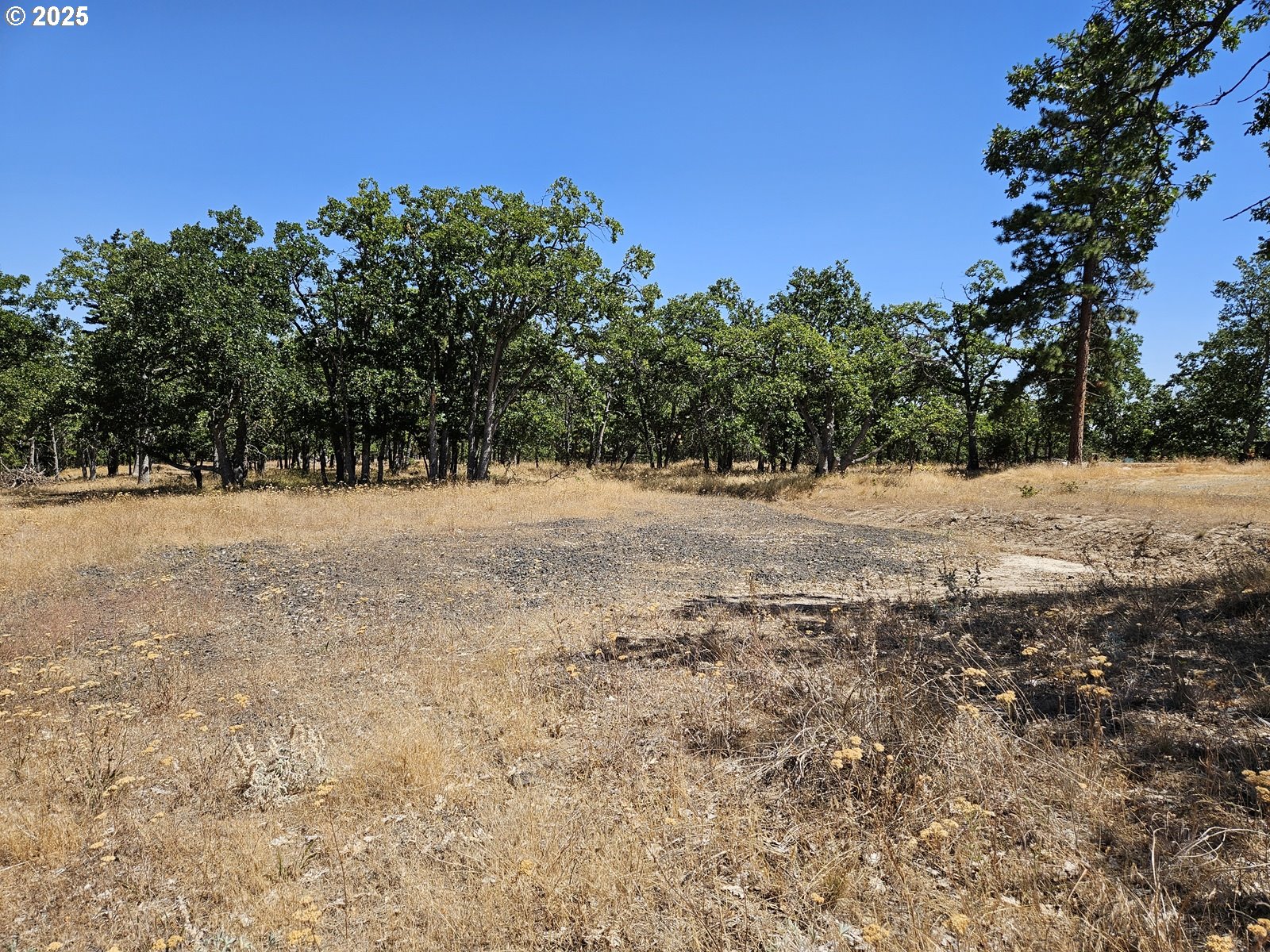Ramsey Road, Unit 137 Dufur, OR 97021 - Photo 8 of 28 a view of dirt yard with a tree