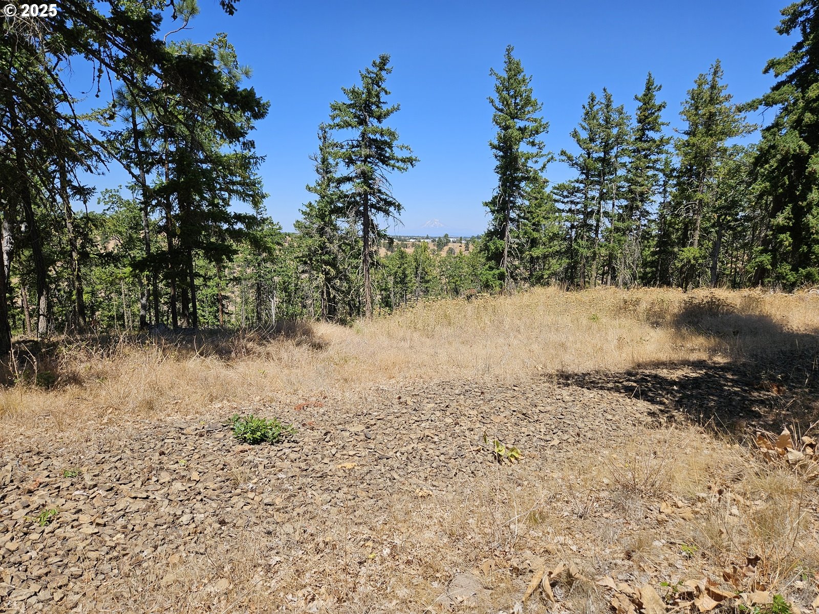 Ramsey Road, Unit 137 Dufur, OR 97021 - Photo 10 of 28 a view of a yard with a tree