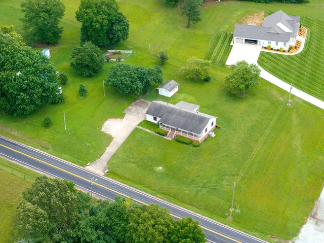 a view of a big yard with potted plants and large tree