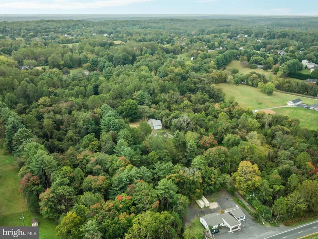 an aerial view of forest