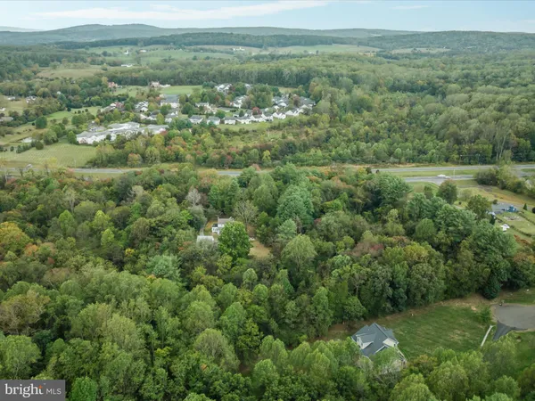 an aerial view of forest