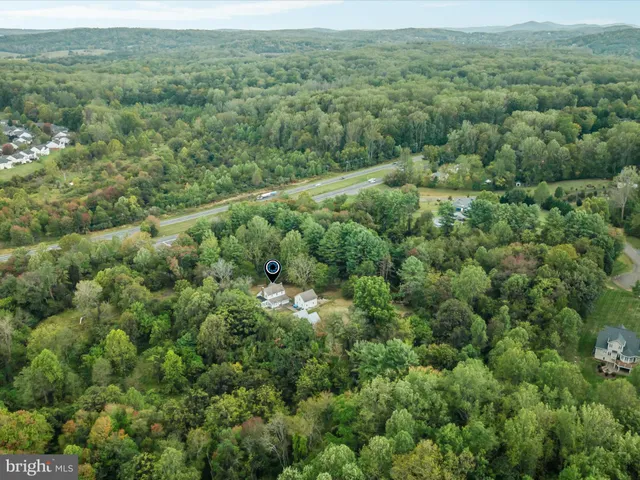 an aerial view of forest