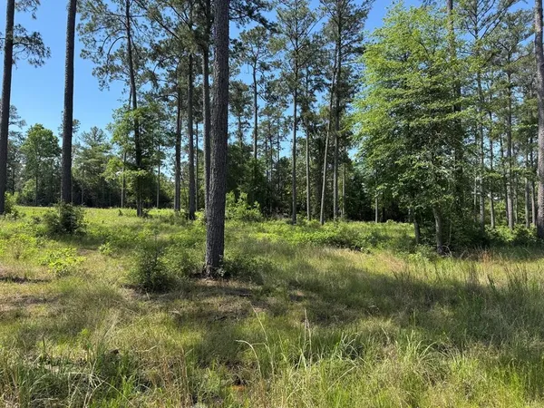 a view of backyard with green space