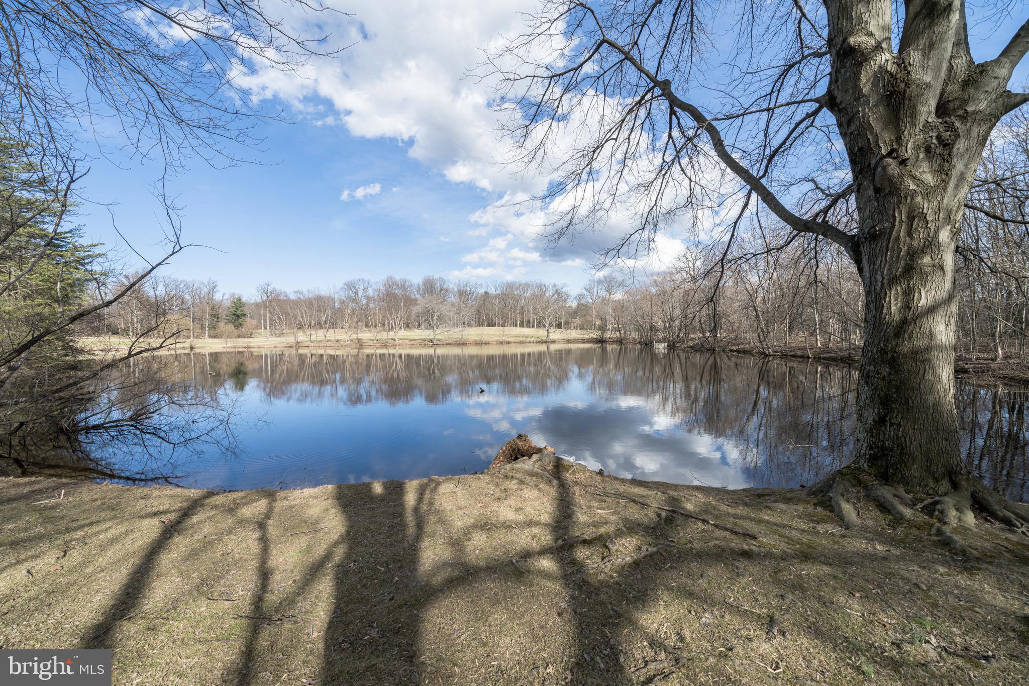 2157 Pond View Court Reston, VA 20191 - Photo 5 of 34 pond on reston national golf course