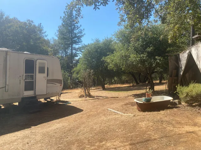 a view of backyard with tree