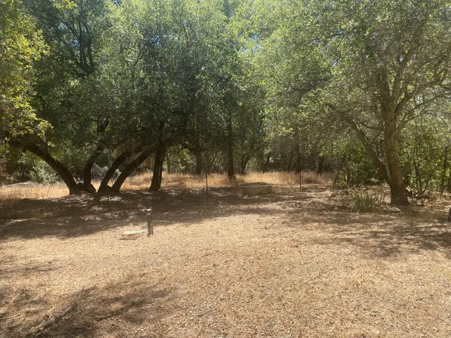 a view of yard covered with trees