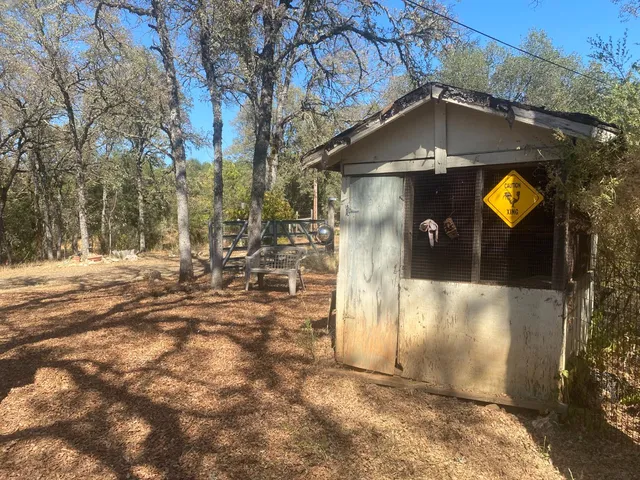 a view of a yard with a tree