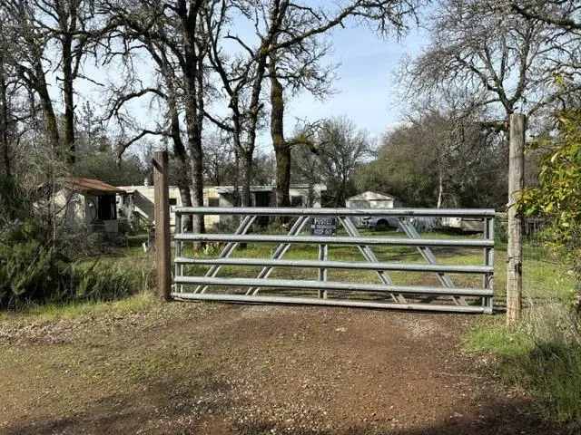 a view of outdoor space with deck and tree
