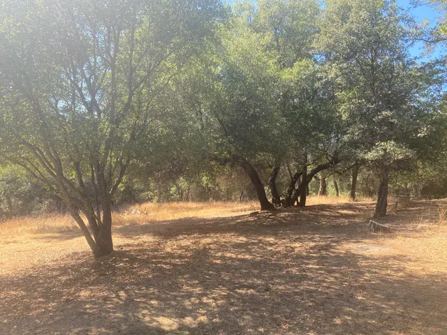 $199,000 | 14572 La Place Lane, Brownsville, CA 95919