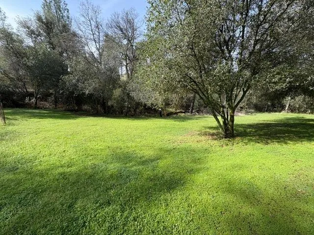 a view of field with trees in the background