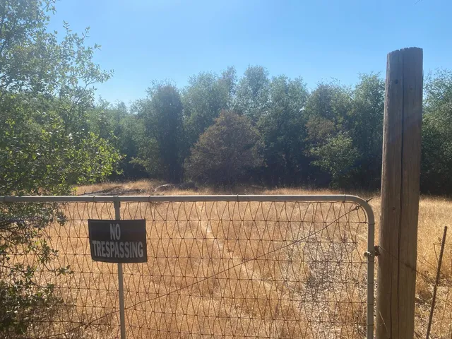 a view of a yard with a tree