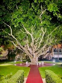 a view of yard with swimming pool and green space