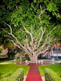 Northeast Boca Raton Boca Raton, FL 33431 - Photo 22 of 32 a view of yard with swimming pool and green space