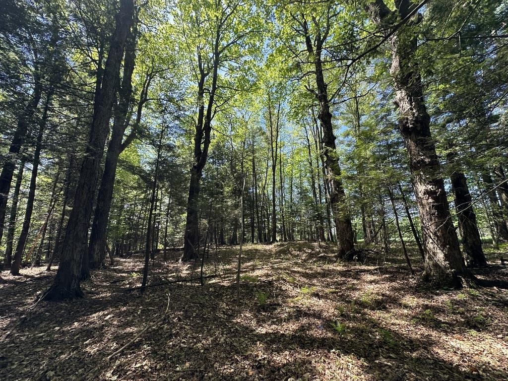 0 Shattuck Hill Road Newport, VT 05855 - Photo 33 of 34