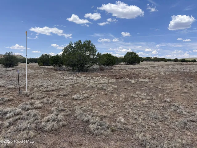 a view of a dry yard