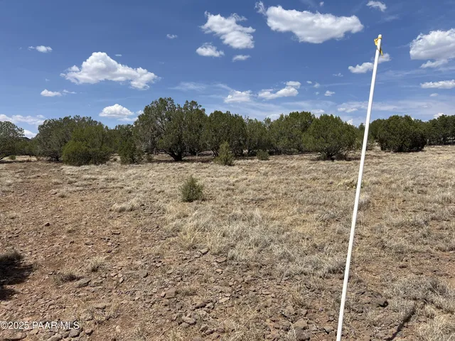 a backyard of a house