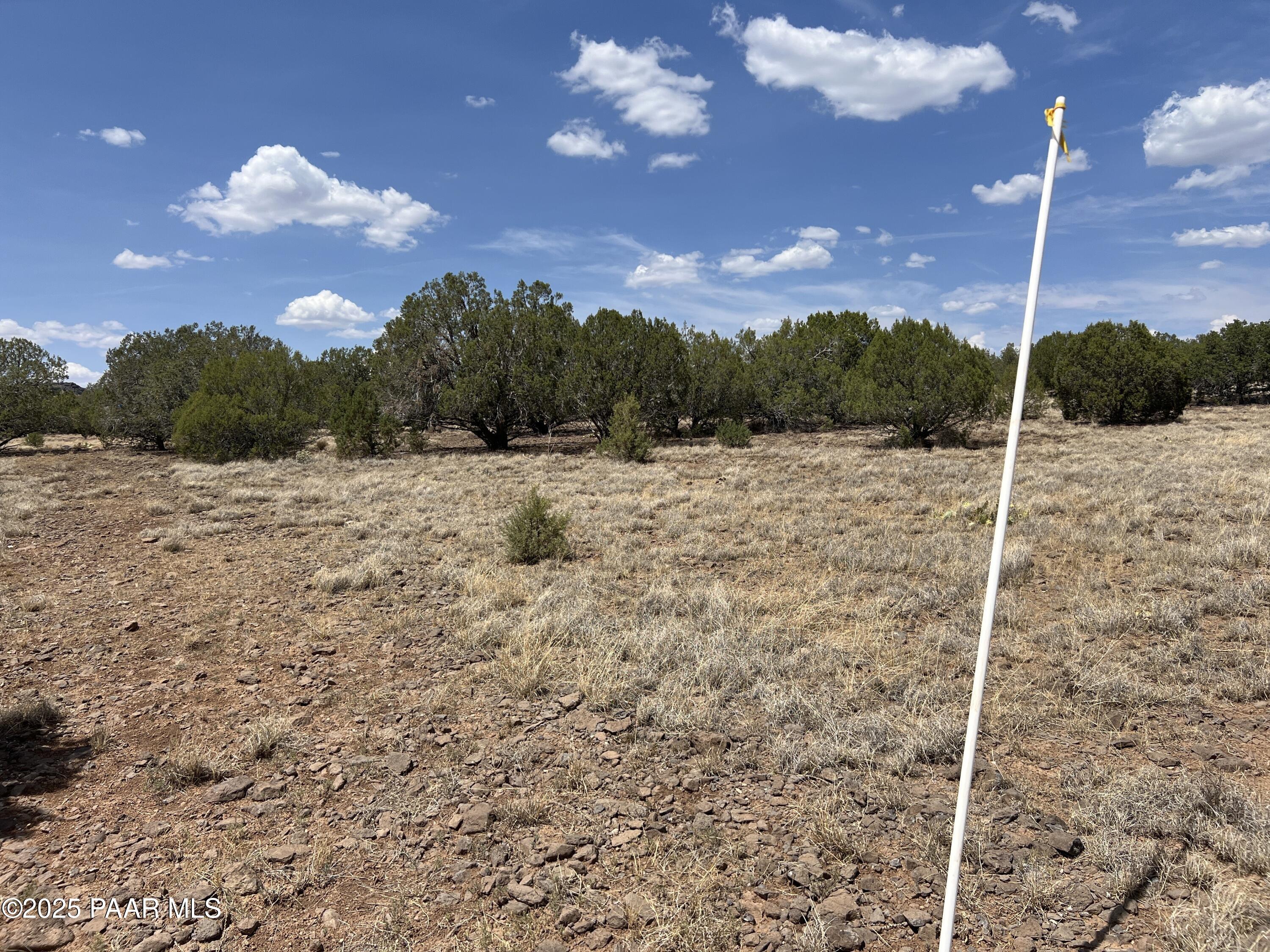 66 West Old Rte 66 Ash Fork, AZ 86320 - Photo 15 of 19 a view of a dry yard