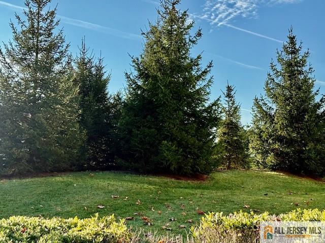 9 Bellingham Drive Kendall Park, NJ 08824 - Photo 38 of 65 a view of a lush green space