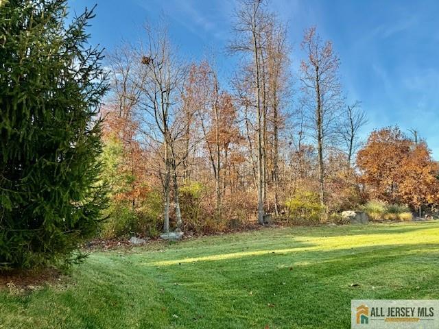 9 Bellingham Drive Kendall Park, NJ 08824 - Photo 39 of 65