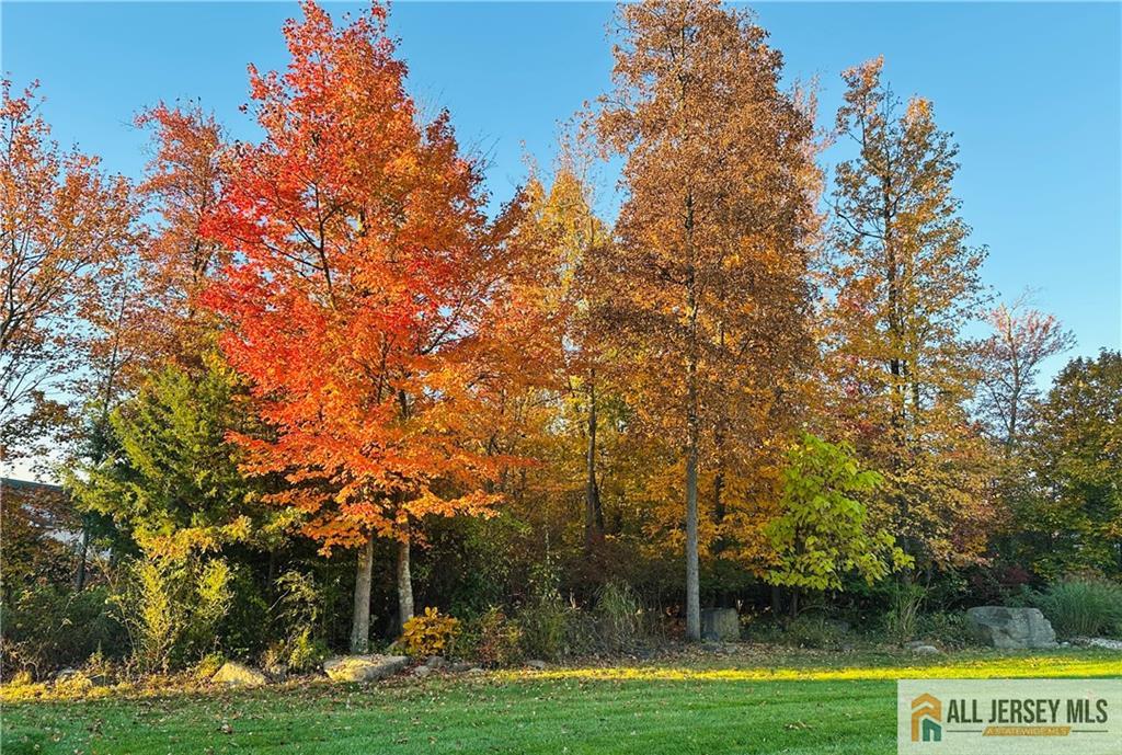 9 Bellingham Drive Kendall Park, NJ 08824 - Photo 40 of 65 a view of a green field