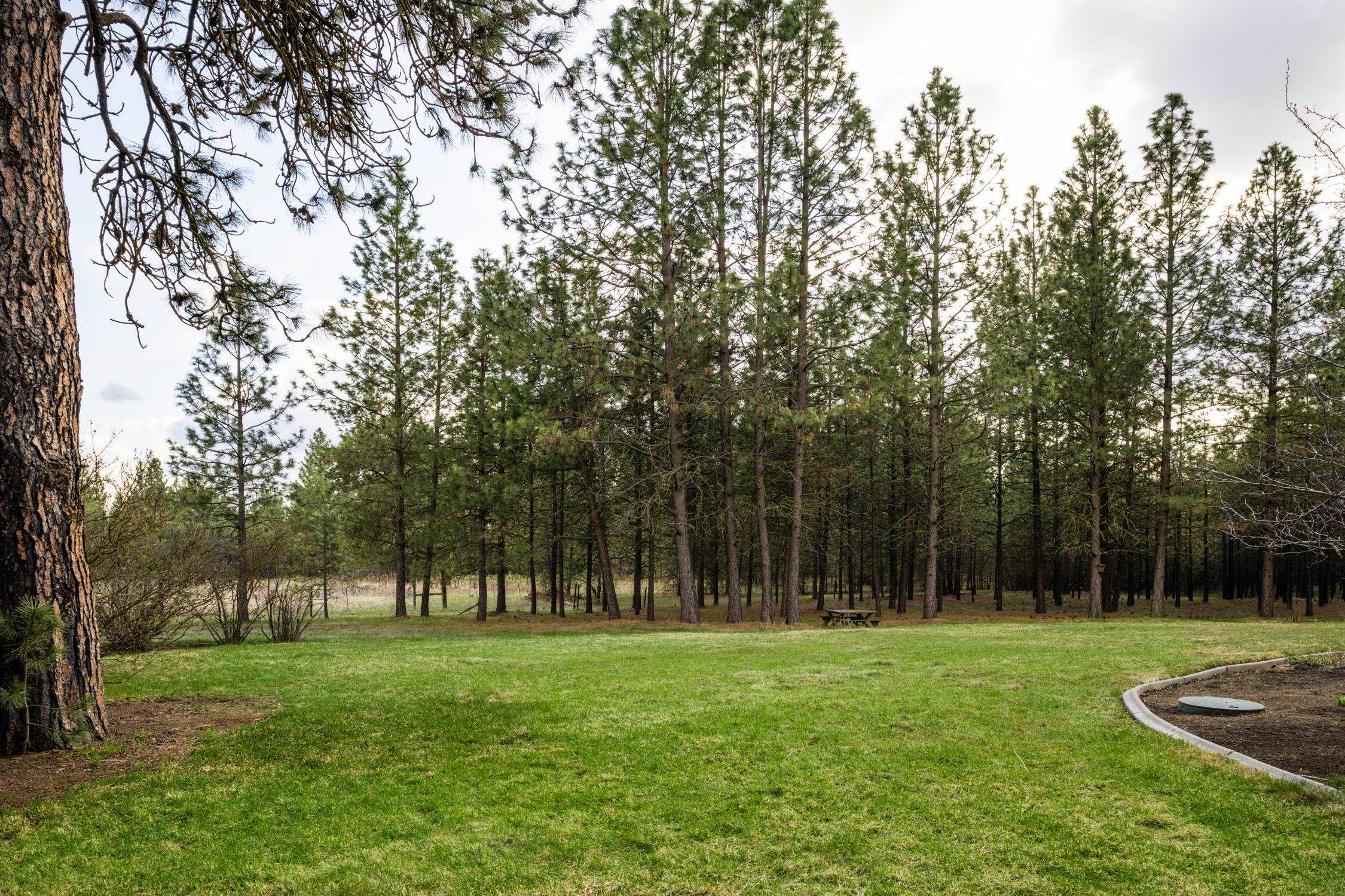 9700 South Spotted Road Cheney, WA 99004 - Photo 22 of 37
