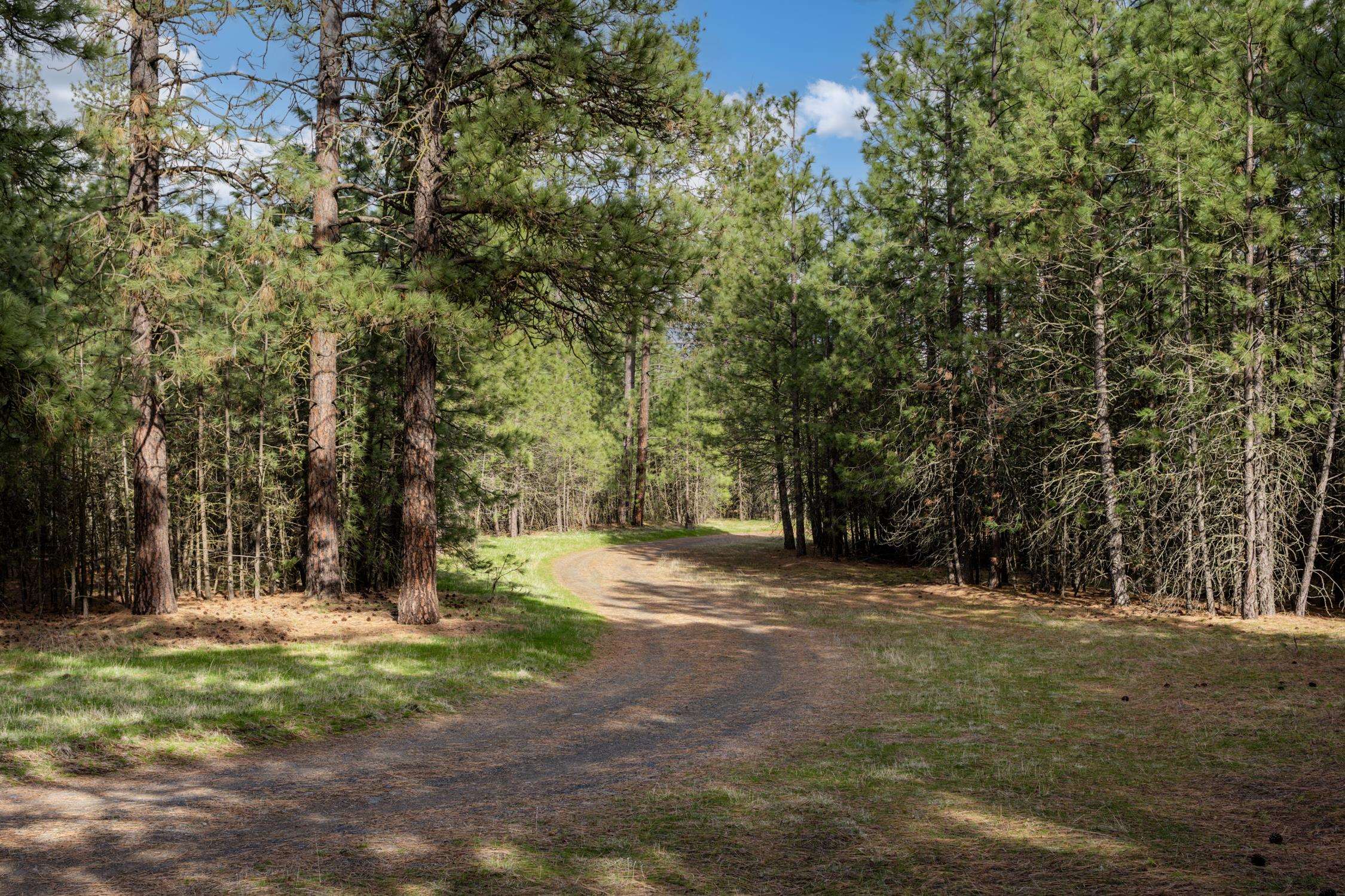 9700 South Spotted Road Cheney, WA 99004 - Photo 23 of 37