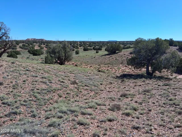 a view of a dry yard with trees in the background