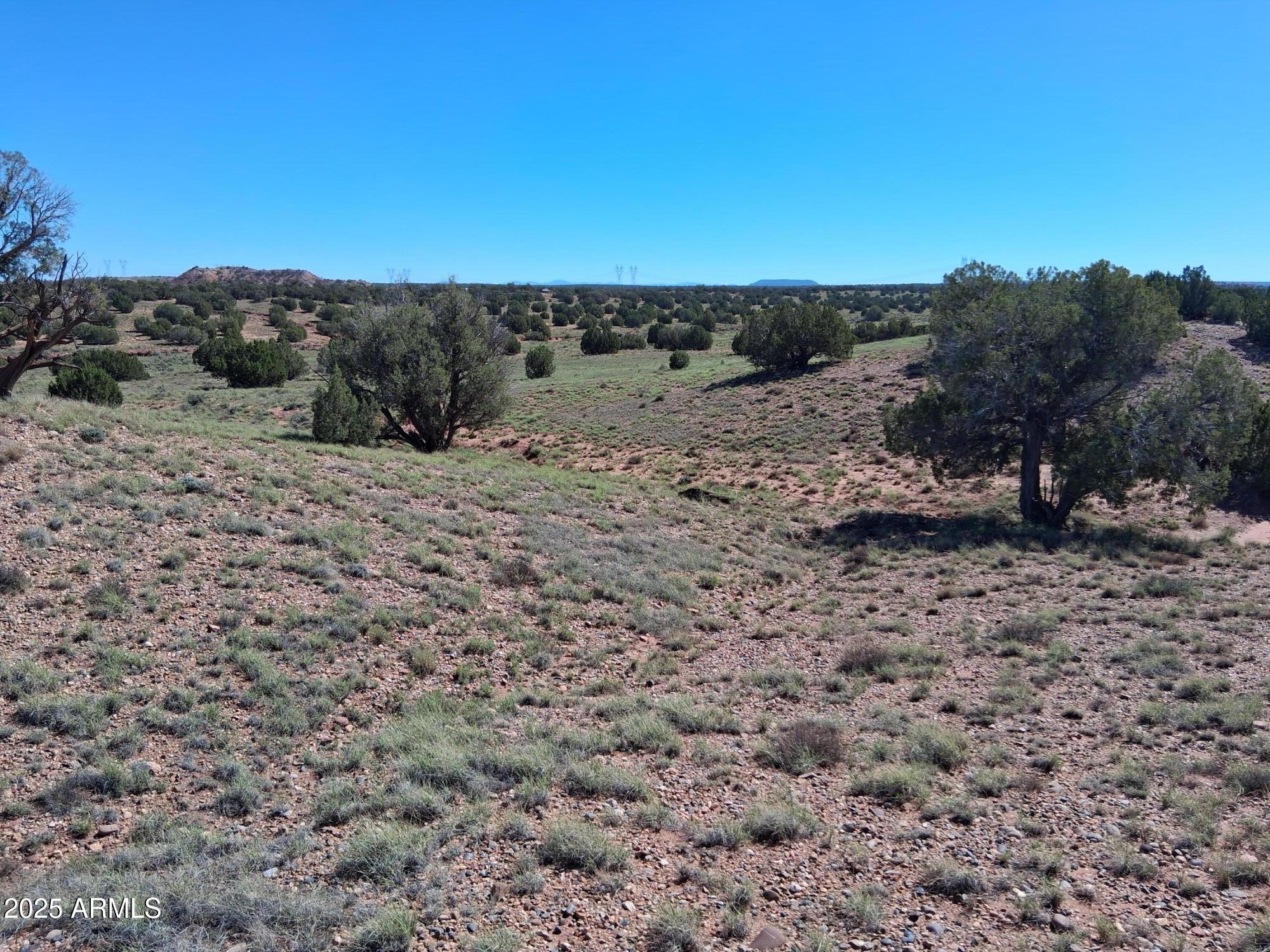 236 County Road Snowflake, AZ 85937 - Photo 14 of 22 a view of a dry yard with lots of green space
