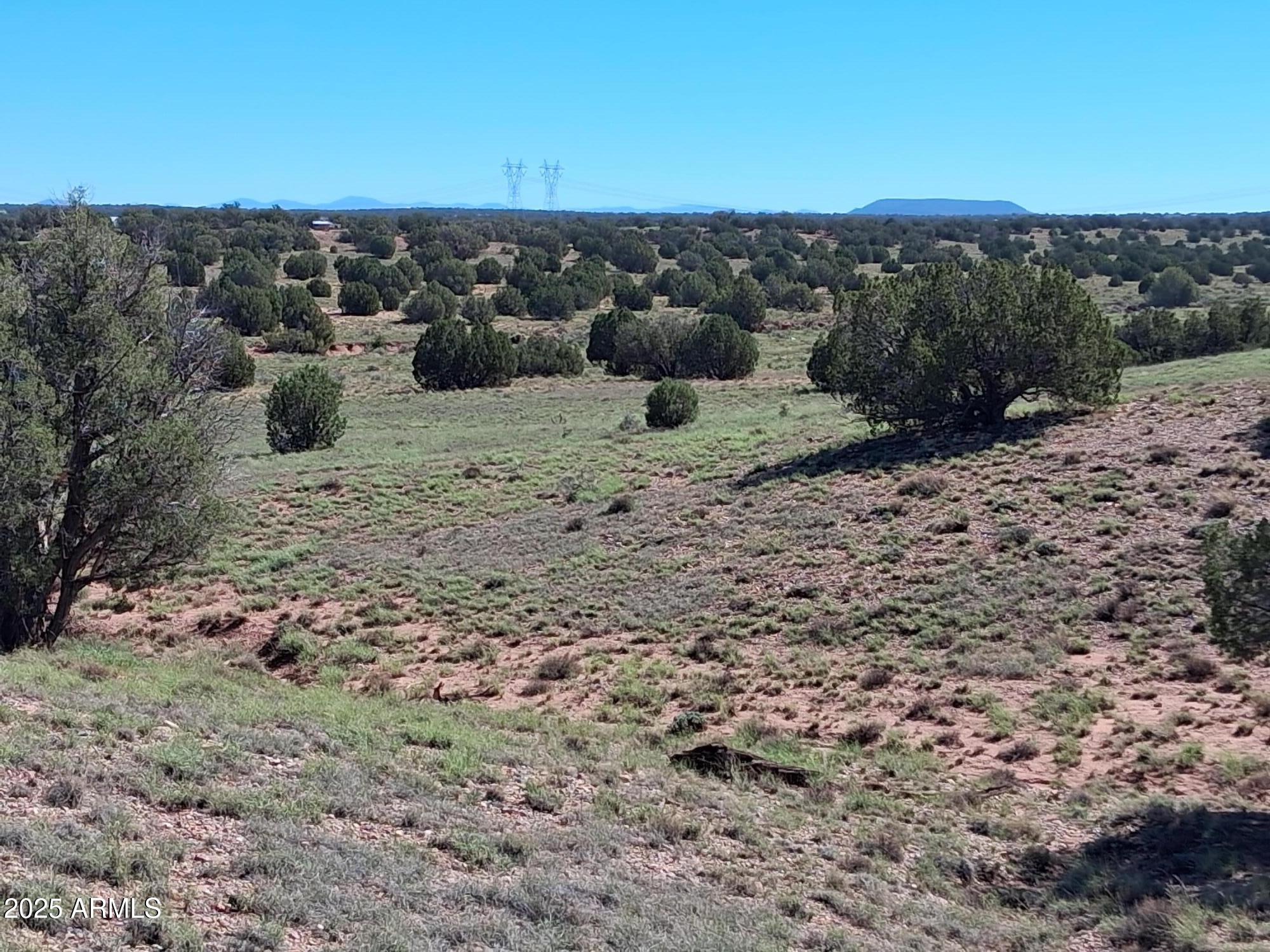 236 County Road Snowflake, AZ 85937 - Photo 15 of 22 a view of a dry yard with mountain
