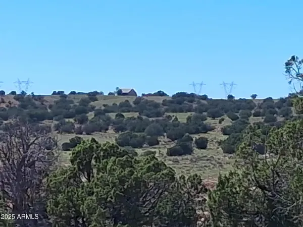 a view of a tree in a field