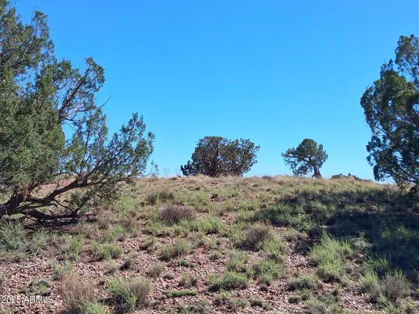 $12,999 | 236 County Road, Concho, AZ 85924