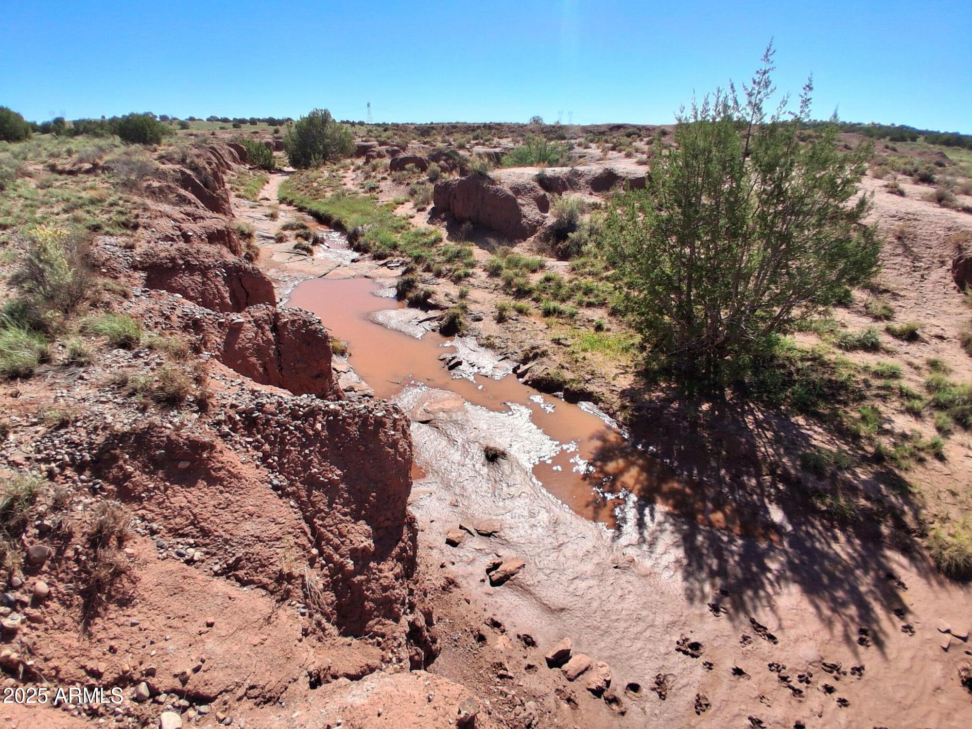 236 County Road Snowflake, AZ 85937 - Photo 21 of 22