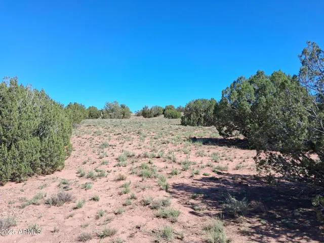 $13,999 | 236 County Road, Snowflake, AZ 85937