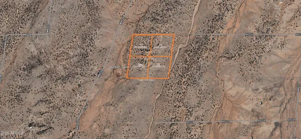 a view of a forest with trees in the background