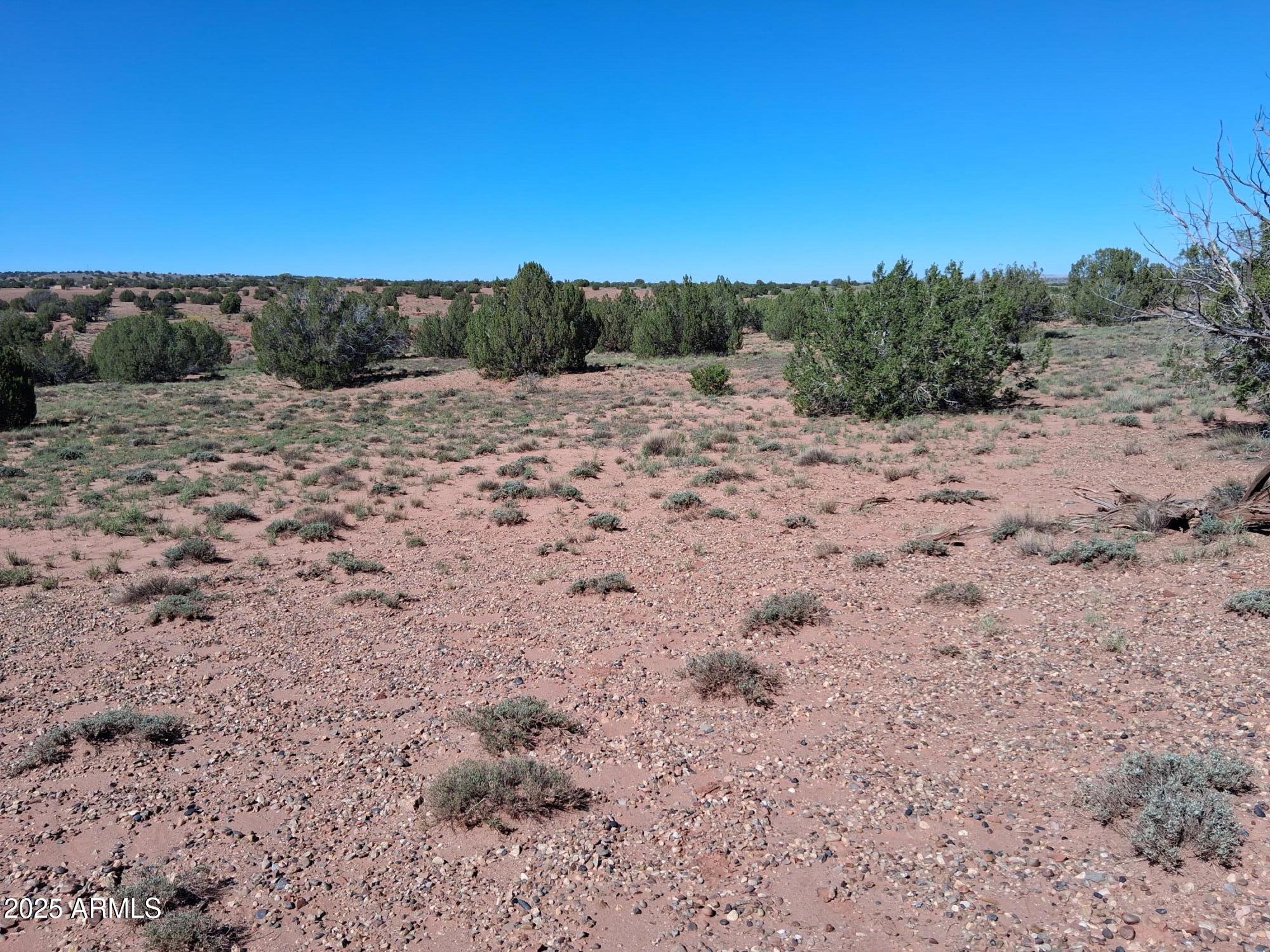 236 County Road Snowflake, AZ 85937 - Photo 10 of 22 a view of swimming pool with a yard