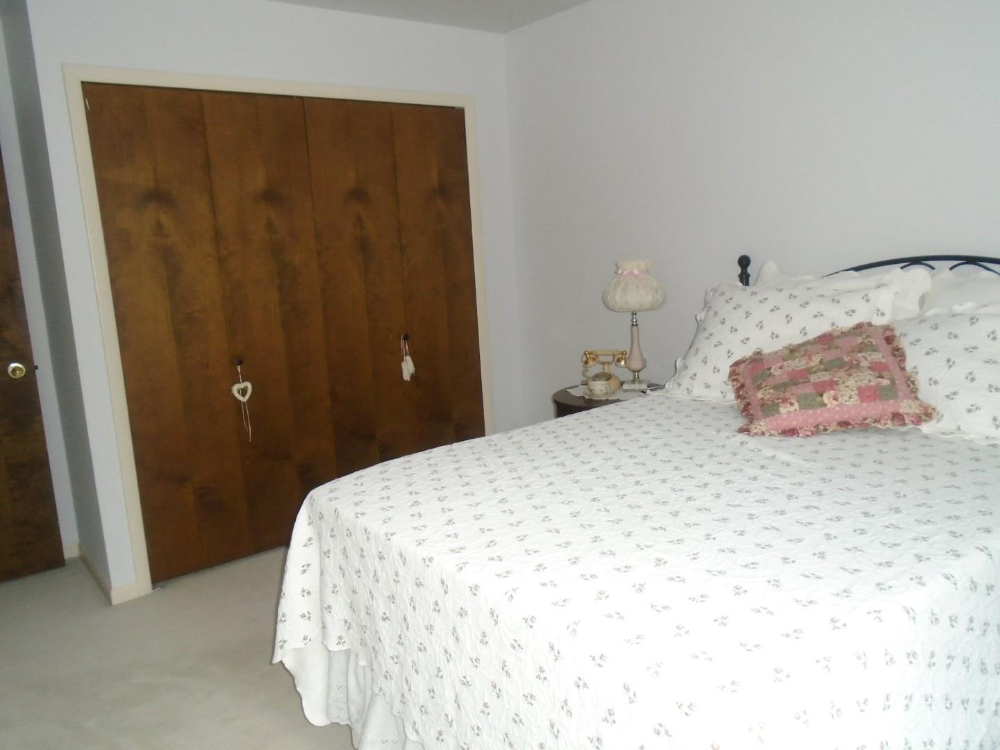 2547 Meade Court Ann Arbor, MI 48105 - Photo 19 of 30 Photo 16