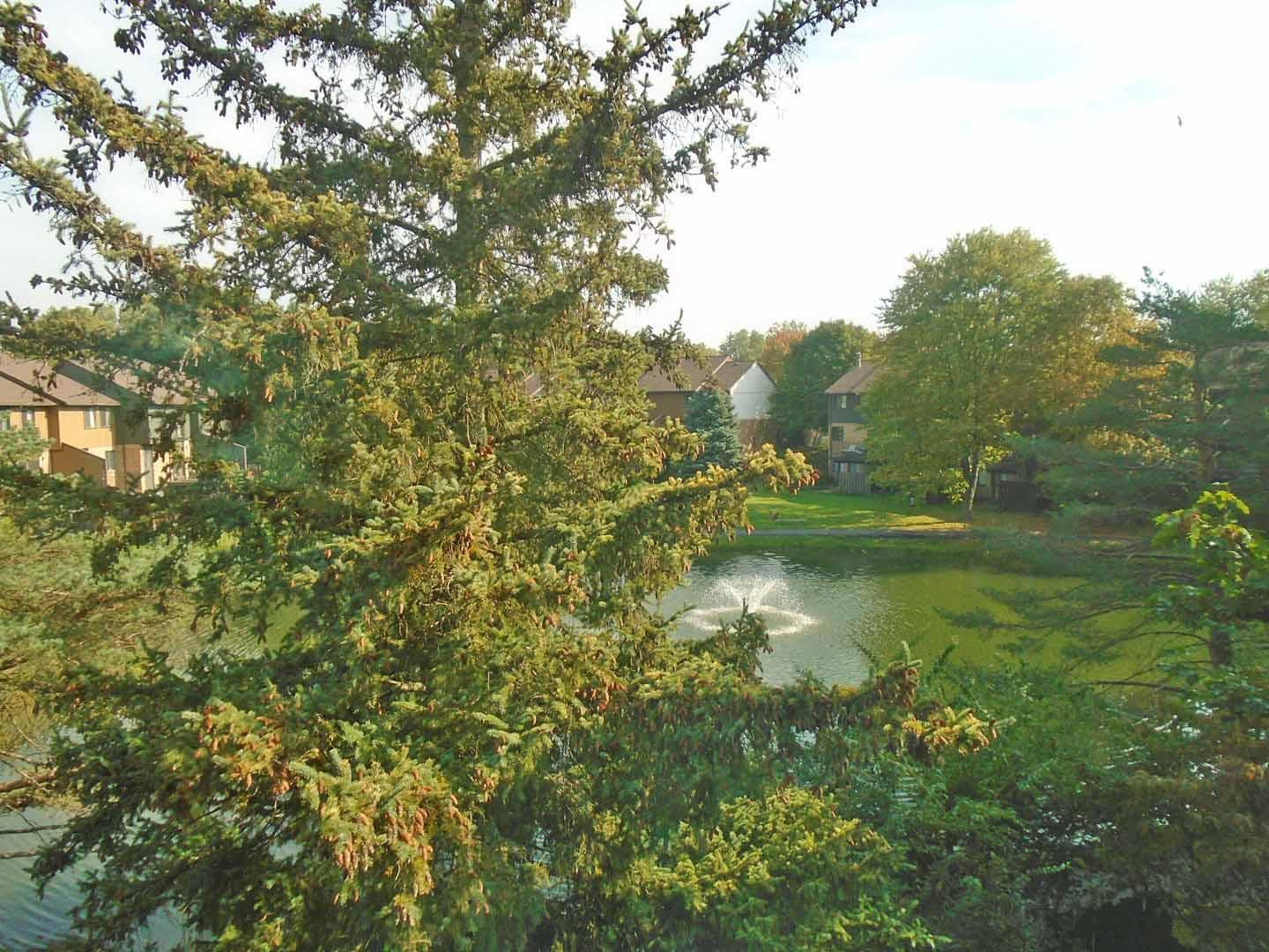 2547 Meade Court Ann Arbor, MI 48105 - Photo 27 of 30 Photo 25