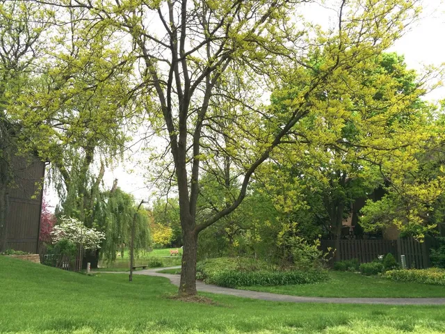 $2,500 | 2547 Meade Court, Ann Arbor, MI 48105