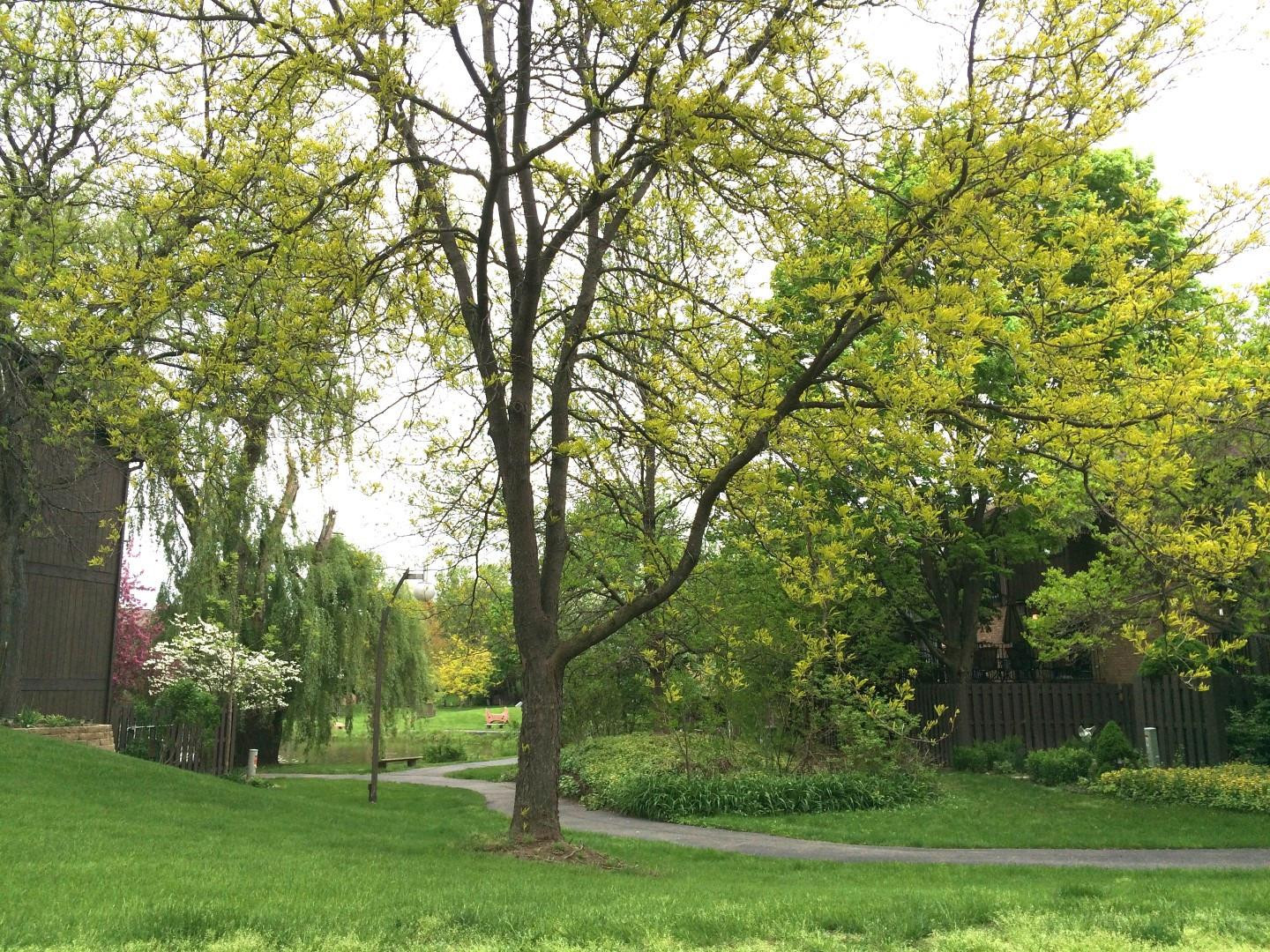 2547 Meade Court Ann Arbor, MI 48105 - Photo 30 of 30 Photo 33
