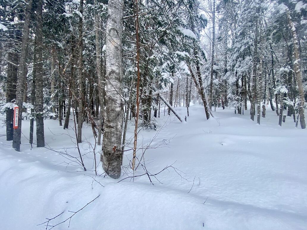 Lot 16 Moose Ridge Dallas Plt, ME 04970 - Photo 11 of 14 Lot