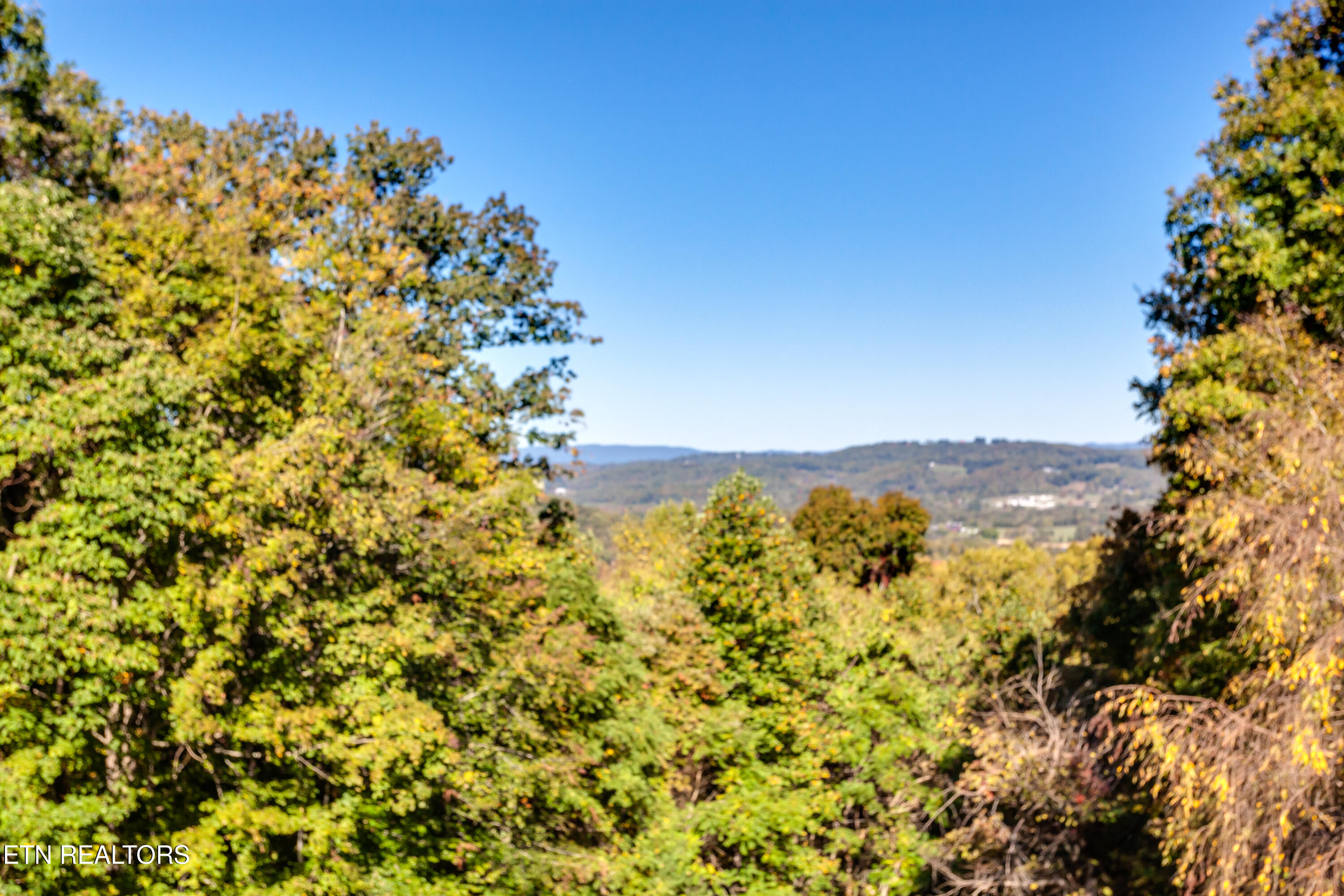337 Tumbling Run Estates Maynardville, TN 37807 - Photo 29 of 33 337 Tumbling Run