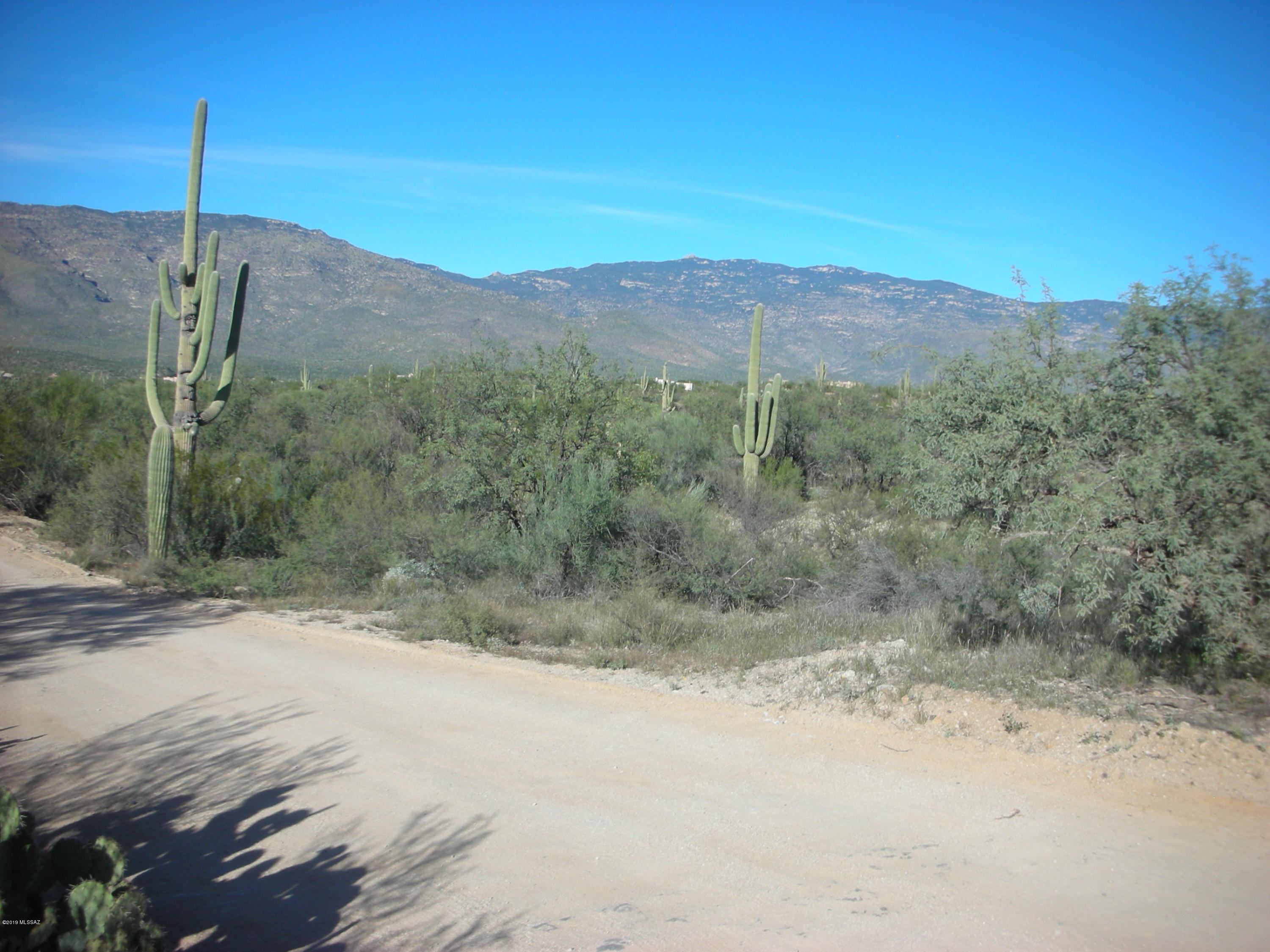 Tbd East Camino Dorotea Road Vail, AZ 85641 - Photo 18 of 24